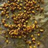Turmeric Seeds in Pune