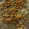 Turmeric Seeds in Mumbai
