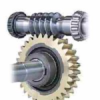 Worm Gear Assembly