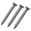 Stainless Steel Screw in Vadodara