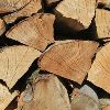 Hardwood Log