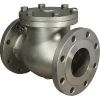 Check Valve Casting