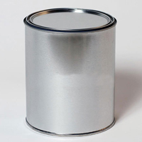 Top Coat Paint