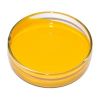 Pigment Yellow in Ankleshwar