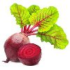 Beetroot in Thane