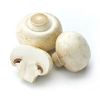 White Mushroom in Jaipur