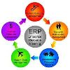 ERP Customization Service