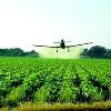 Pesticides Testing Services
