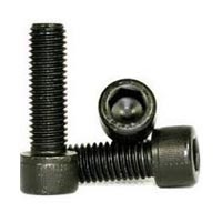 Screw and Washer