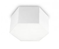 Ceiling Fixture