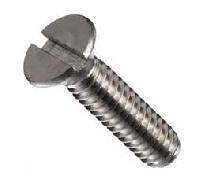 Screw and Washer