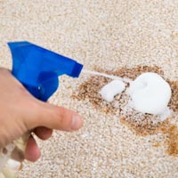 Stain Removers