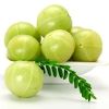 Amla in Bhavnagar