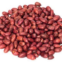 Red Peanut Kernel