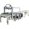 Automatic Packaging Line in Ahmedabad