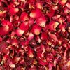 Dried Red Rose Petals in Kanpur