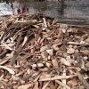 Firewoods in Surat
