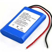 Portable Battery Pack