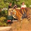 Safari Tour Packages