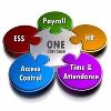 Services Management Consulting in Pune