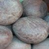 Coconut Copra in Karur