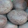 Coconut Copra in Karur