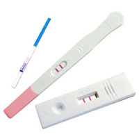 Sexual Wellness Products, Contraceptives and Fertility Medicines