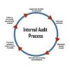 Internal Management Audit