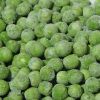 Frozen Peas in Chennai