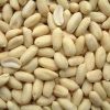 Salted Peanut in Rajkot