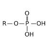 Phosphate Ester