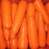Frozen Diced Carrot in Pune