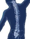 Spine Treatment in Pune