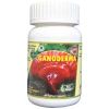 Ganoderma Capsule