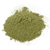 Natural Green Organic Indigo Powder, Packaging Size: 20 Kg at Rs  140/kilogram in Greater Noida