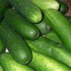 Cucumber in Theni