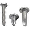 Thread Cutting Screw