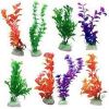 Aquarium Plants