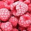 Frozen Raspberries in Noida