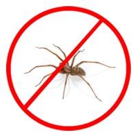 Pest Control & Termite Control Services