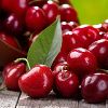 Fresh Cherries in Shimla