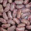 Speckled Kidney Bean in Navi Mumbai