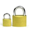 Iron Padlock