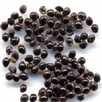 medicinal seeds