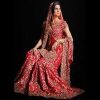 Gharara Suit