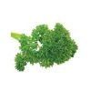 Parsley Leaves in Bangalore
