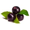 Acai Berry Extracts in Indore
