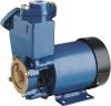 Self Priming Peripheral Pump