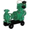 Diesel Agriculture Pump