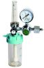 Flow Gauge Regulators